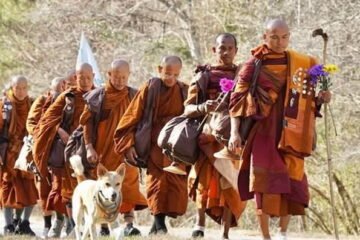 En caminata por la paz monjes budistas y su perro Aloka cruzan Estados Unidos